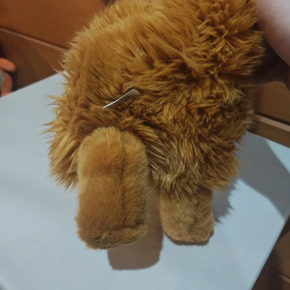 Harry‎ Potter Crookshanks Plush Wizarding World Universal Orlando Hermione's Cat - Picture 5 of 6